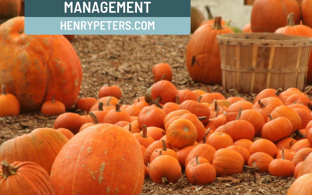 4 tips to help seasonal businesses enhance cash-flow management